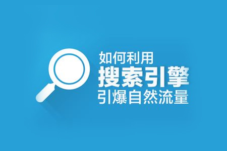 SEO搜索引擎原理及网站优化排名