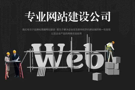 网站建设,网站建设公司,专业网站建设